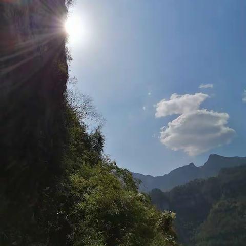 小诗一簇（第一集）