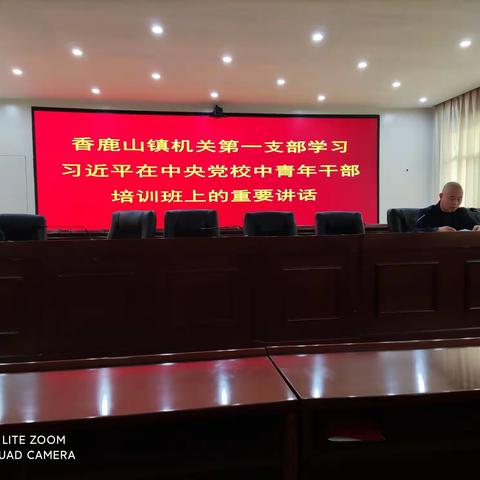 立足岗位抓学习 践行精神争先锋——香鹿山镇各支部扎实开展10月份“4+x”主题党日活动