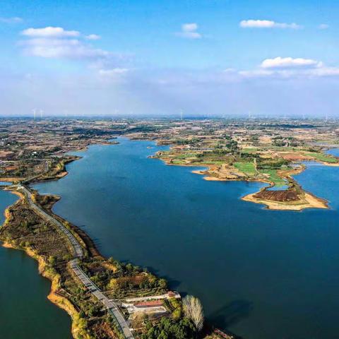生态潘集湖 鸟儿栖息地