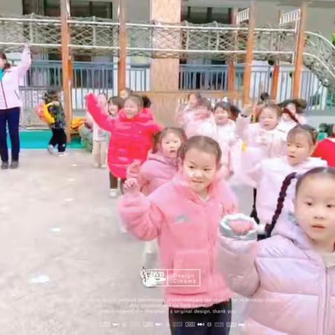 华茂幼儿园大二班的快乐时光