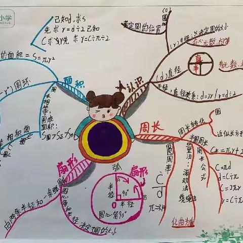 2022.11.12迎宾路小学六年级上册《圆》单元思维导图精选