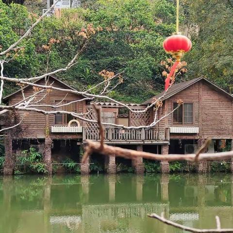 从化花海一日游
