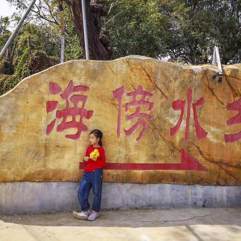 黄金花海美翻天---- 海傍水乡