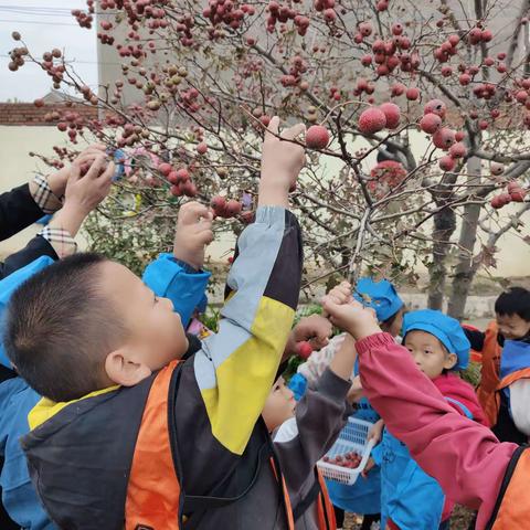 甜甜心情，满满收获——东岗幼儿园制作冰糖葫芦美食活动