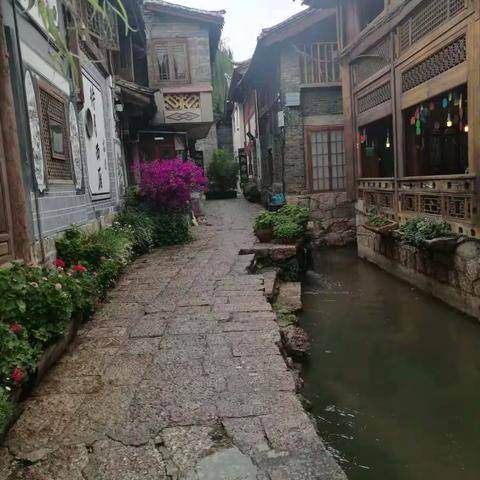 骑行之旅━西藏行 转至丽江离开高原