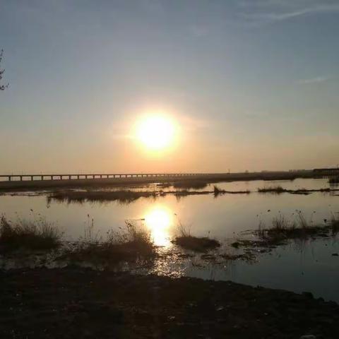 铁骑老帅驰骋东三省（第八篇）