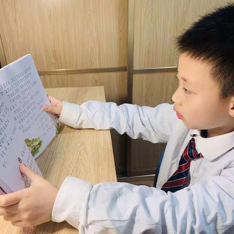 来一场和书的邂逅吧