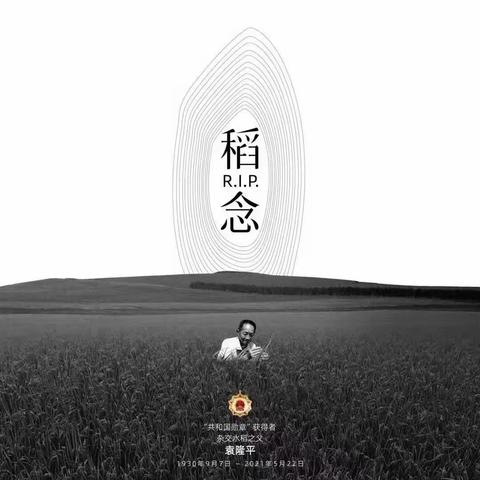 禾下乘凉梦 一稻便一生——深切缅怀袁隆平老先生