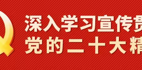 学习二十大 奋进新征程｜给少先队员讲党的二十大（六）