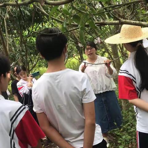 海南省农业学校22园艺技术大专班班级农场美篇