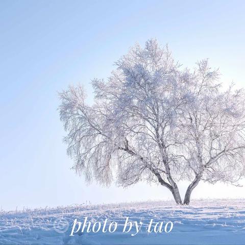 蒙古马冬季之旅(3) 2020.12.15. - 25. 乌兰布统