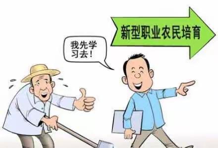 您是新型职业农民吗？为什么？