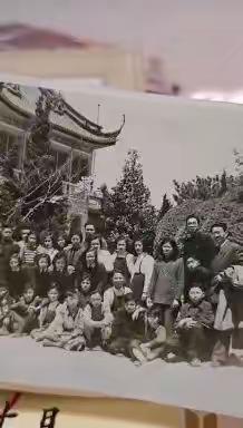 这个美好的世界