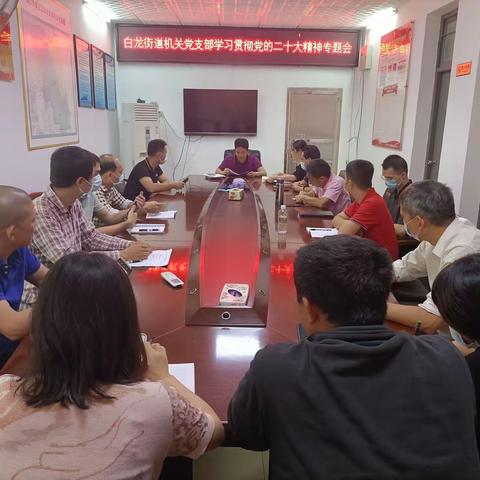 美兰区白龙街道机关党支部学习贯彻党的二十大精神专题会