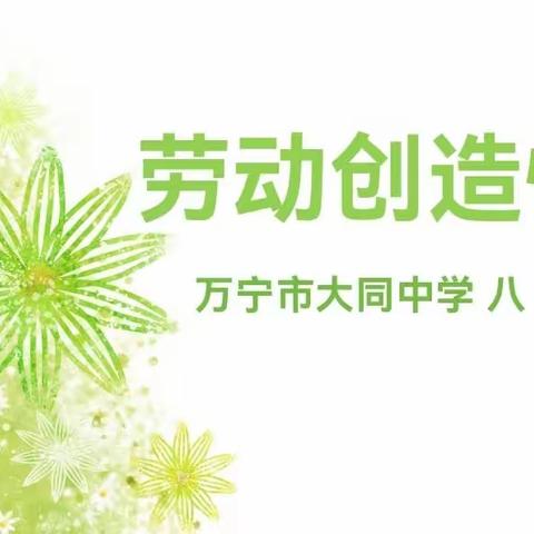 劳动励心智，劳动促成长——万宁市大同中学八（5）班