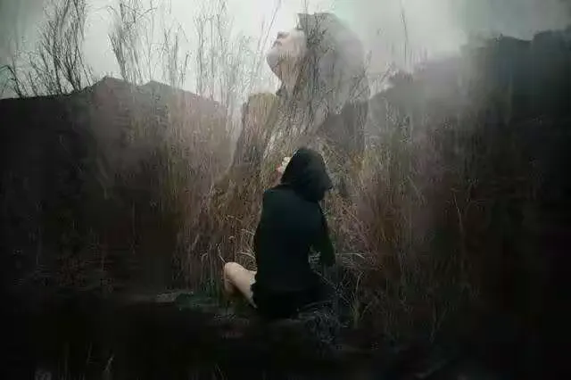 梦醒时分，被迫婚姻与未竟之爱的哀歌