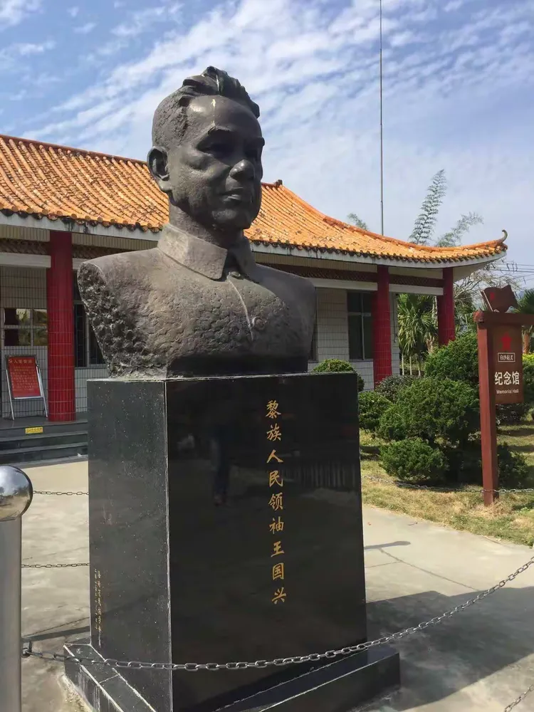 我党领导的,以王国兴为代表的起义过程