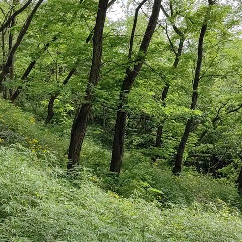 抽点时间，找个空闲，给自己放个假，给疲惫的身心解解压，让双目看看外面的葱绿深蓝，让指尖触摸下初夏时光的温。