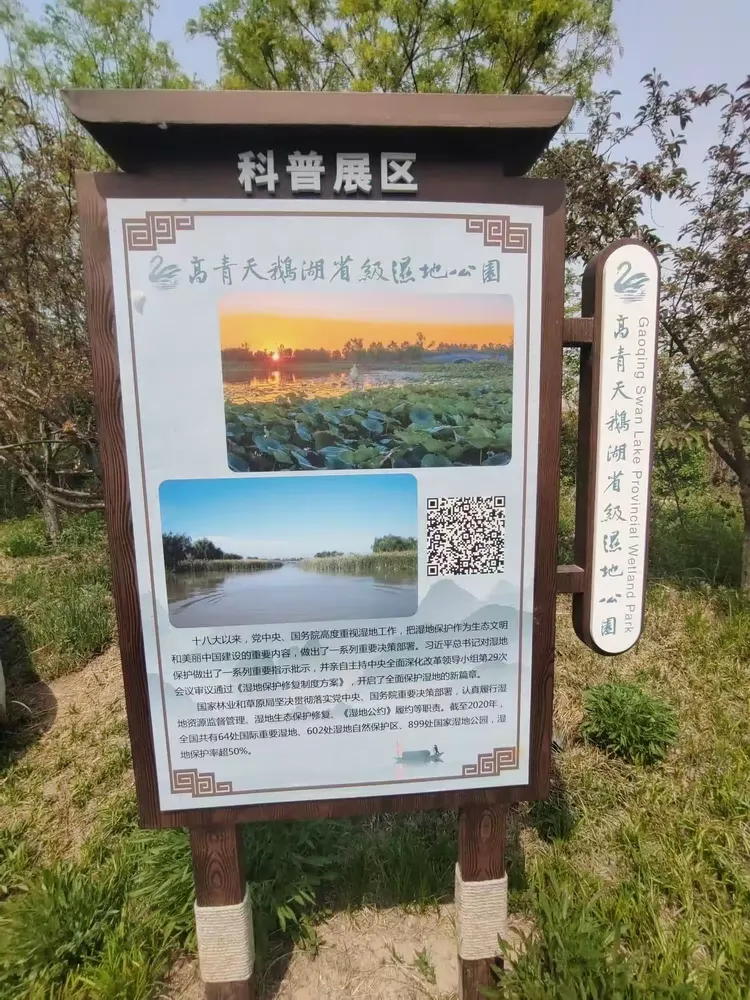 我家就在岸上住