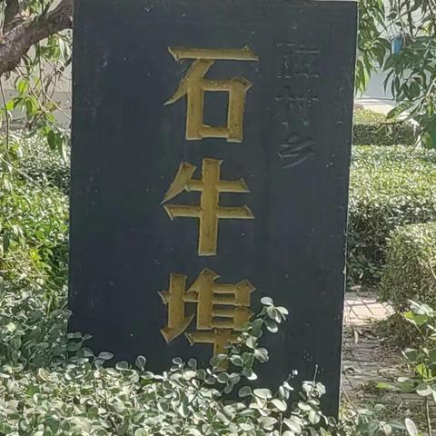 《重阳节游走石牛埠》