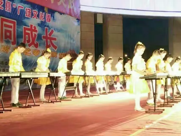 灵武星韵艺术学校器乐开新班啦！