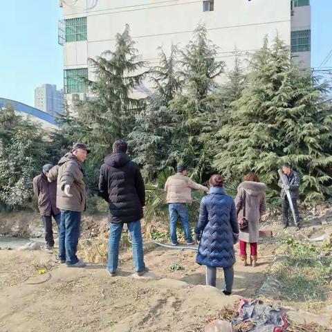 851黑臭水排除中