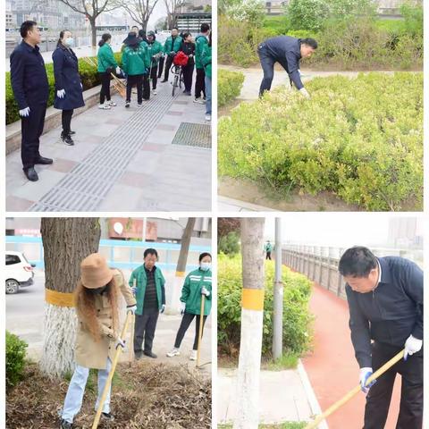 机关基层齐上阵，绿地管护见成效