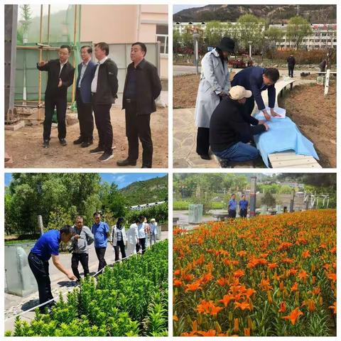 延安市园林处献礼建党百年——精管细养优环境 摆花造景庆百年