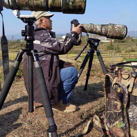 朱鹮的家乡--陕西洋县