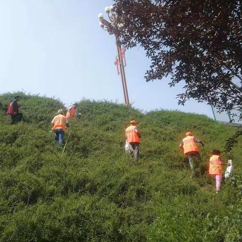 韩城市招商区城建管理处3810环境卫生整治任务7月23日完成情况