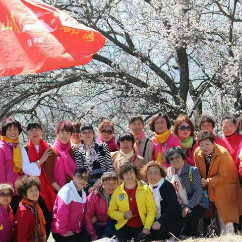 相聚杏花沟