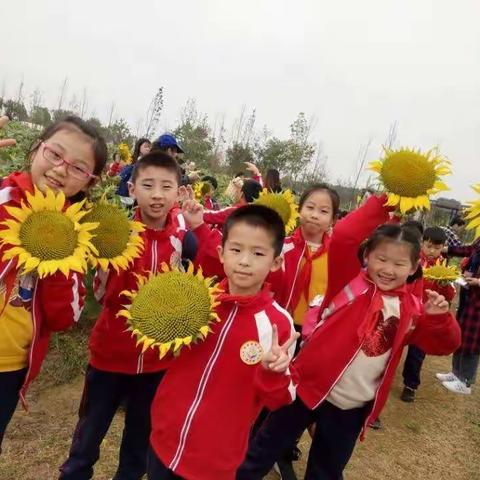 走进大自然  感受家乡美———记崇明小学二年级户外研学活动