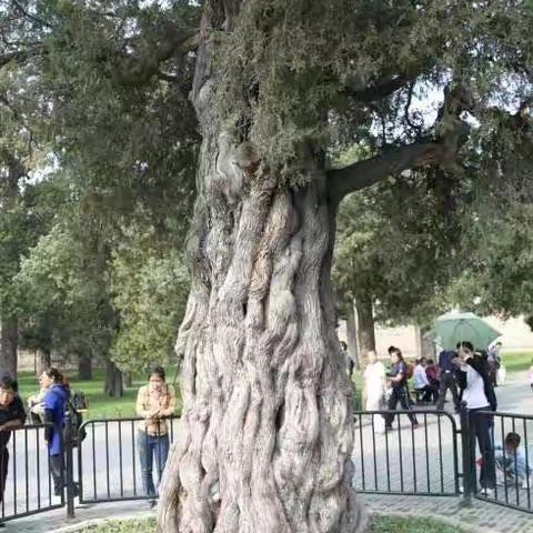 青山绿水任我游——我的旅游集锦《学习培训之余的游览之三》