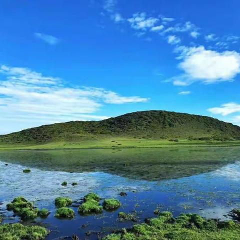 露营🏕️罗坪山大罗坪
