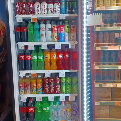 1029红安店冰柜陈列图片