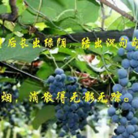 最是书香能致远——古城实小暑期及新学期师生阅读书目推荐