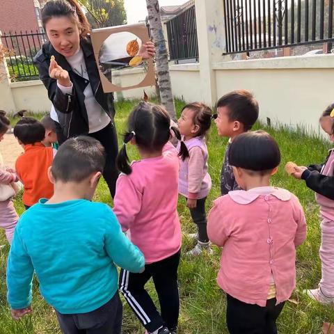 【不分你我，实现自我】——青未了幼儿园最美教师王杰