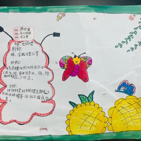 昆虫记录卡