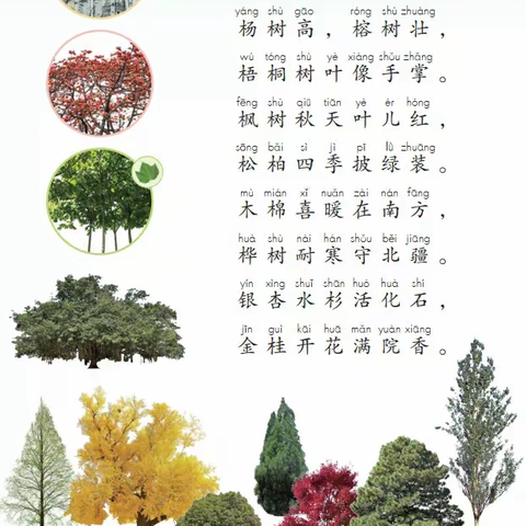 秋风吹西江，落叶满端城——创意树叶画