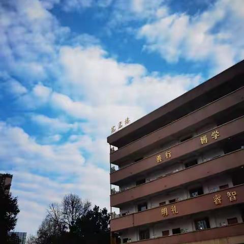 六盘水市钟山区第四小学爱国卫生月倡议书