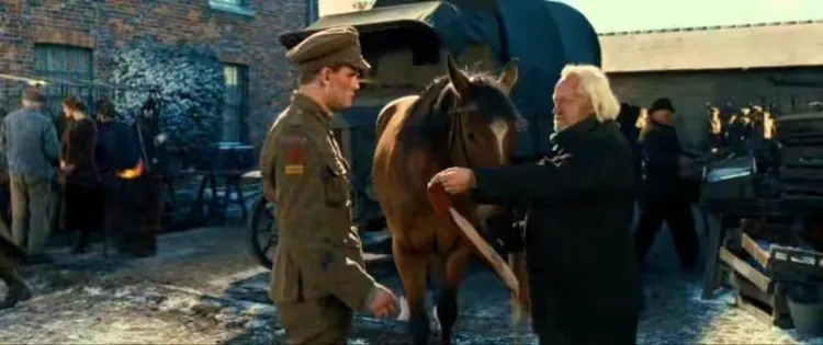 五年级电影欣赏—战马