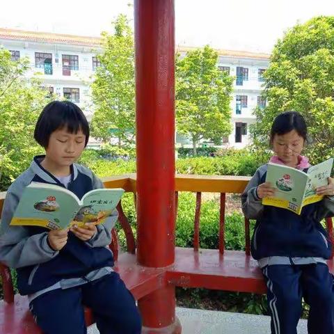 【尹庄教育】东车小学:班级文化滋润学生的心田