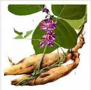 大年初五葛根会