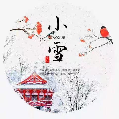 寒意渐浓，小雪相逢——平邑县实验幼儿园中三班小雪节气活动