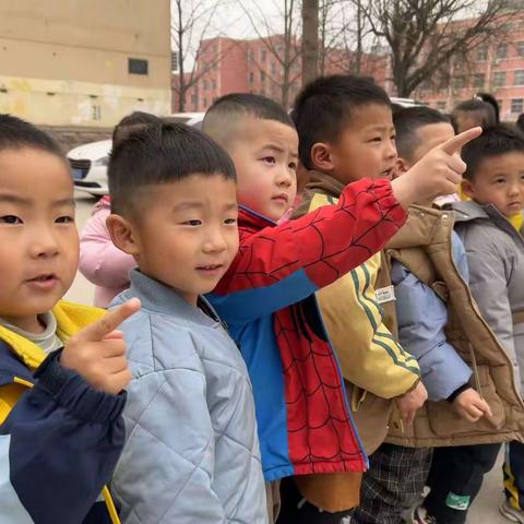 小鸟，你好！——平邑县实验幼儿园中三班主题课程