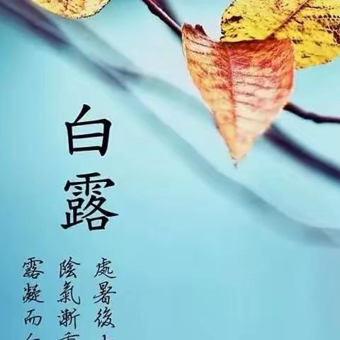 【王晓红】吴教授教学成果交流群白露作品展