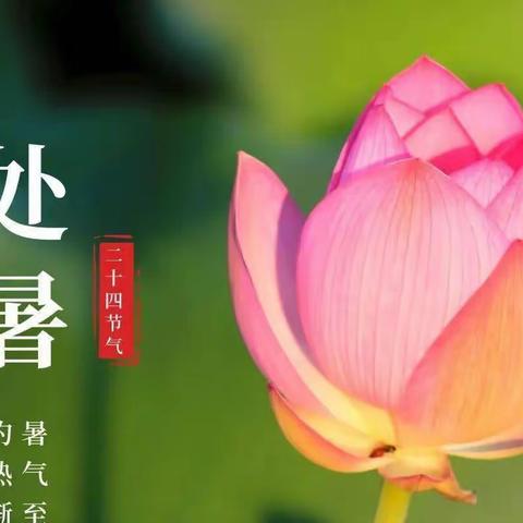 【王晓红】弘体练习交流群处暑作品展