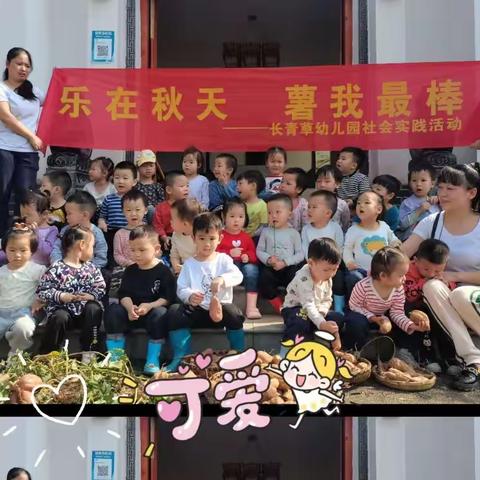 长青草幼儿园——乐在秋天，“薯”我最棒！