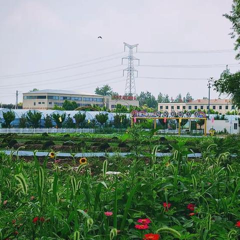 美丽乡村——南京浦口区永宁