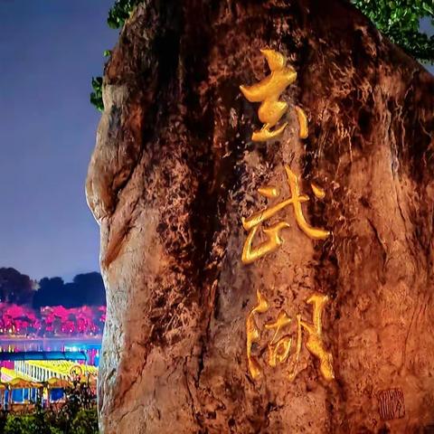 金陵明珠—玄武湖 夜晚如此迷人